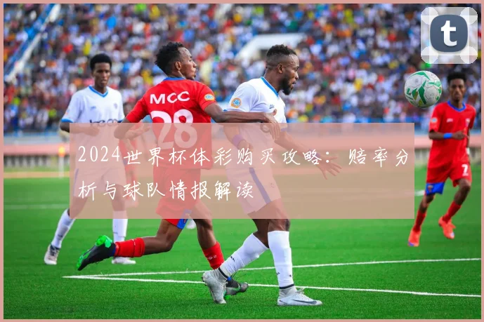 2024世界杯体彩购买攻略：赔率分析与球队情报解读