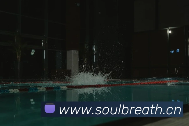 乐鱼网页版登录入口APP 封面图